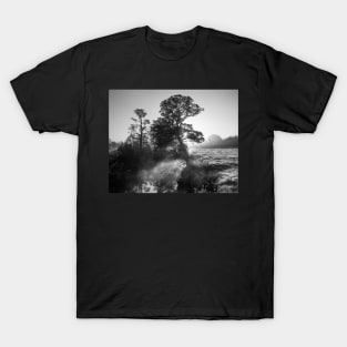 Water Meadow Mist T-Shirt